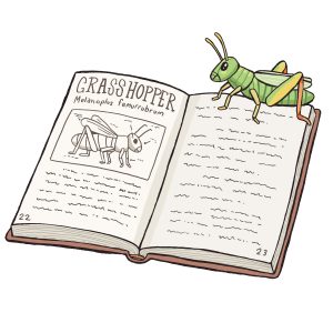 An illustration of a green grasshopper sitting on top of a book opened to a page describing grasshoppers.