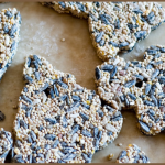 A banner with several ornaments made out of birdseed in different shapes. It reads "Bird Ornament Take and Make for Teens, July 1-31, 2022 in the Youth Department. One kit per person while supplies last." It then lists the contents of the kit.