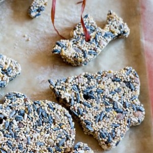 A cropped photo of two ornaments made out of birdseed: one is shaped like a bird and the other a tree.